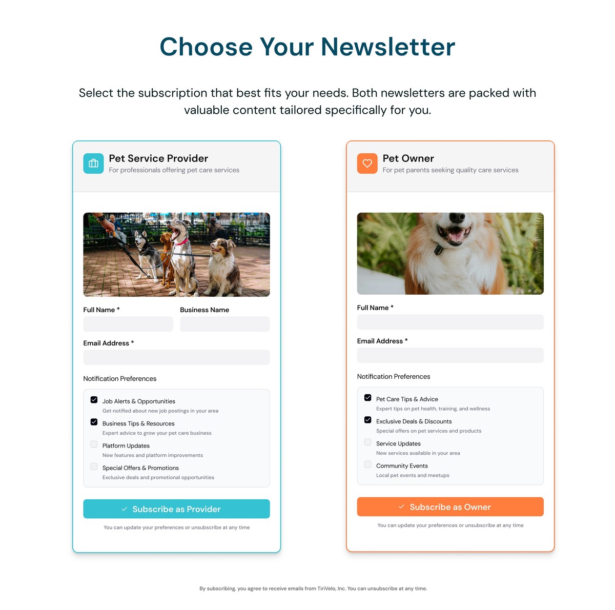 The first version: a single page holding two parallel newsletter forms side by side, each asking for name, business, and email, plus four notification-preference checkboxes to weigh before submitting.